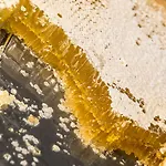 Grotthuss Boutique 4* Vilnius