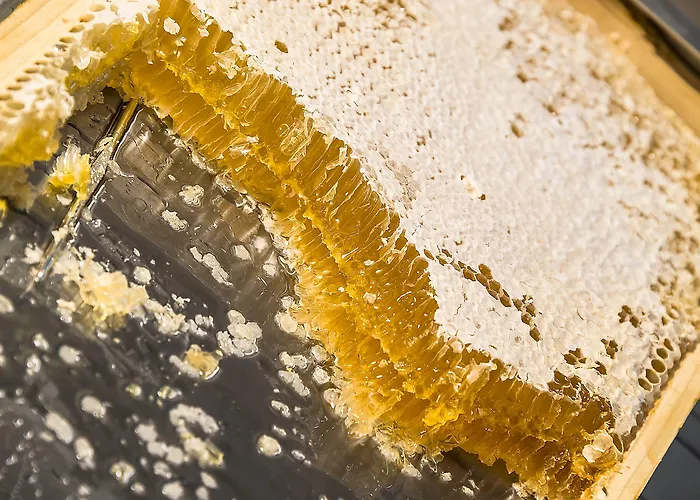 Grotthuss Boutique 4* Wilno